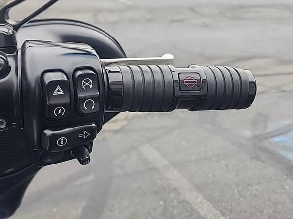 2017 Harley-Davidson, dovoz Kanada — foto 12 z 12
