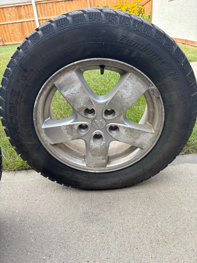 Ch-Noble Zambonee Z88 Tires with Rims, dovoz Kanada — foto 3 z 5