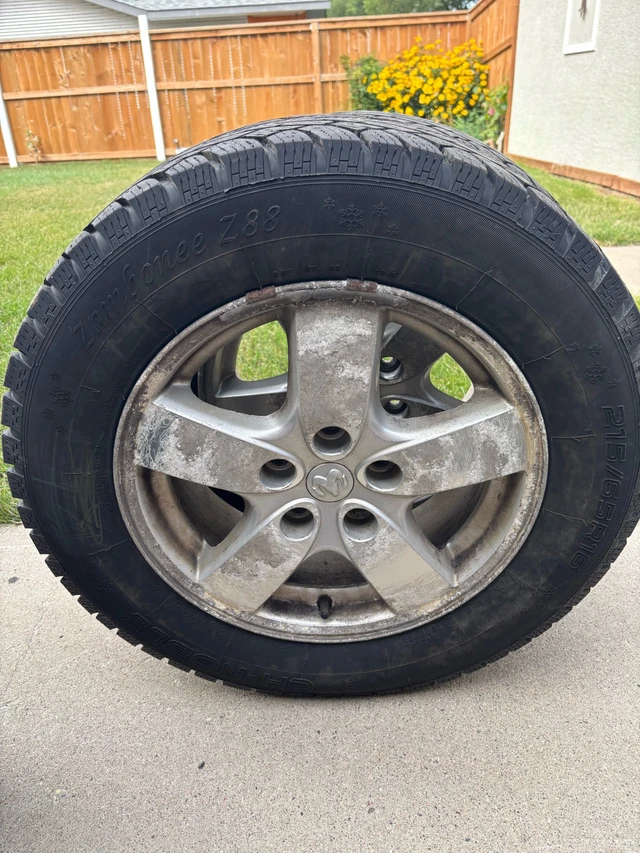 Ch-Noble Zambonee Z88 Tires with Rims, dovoz Kanada — foto 4 z 5