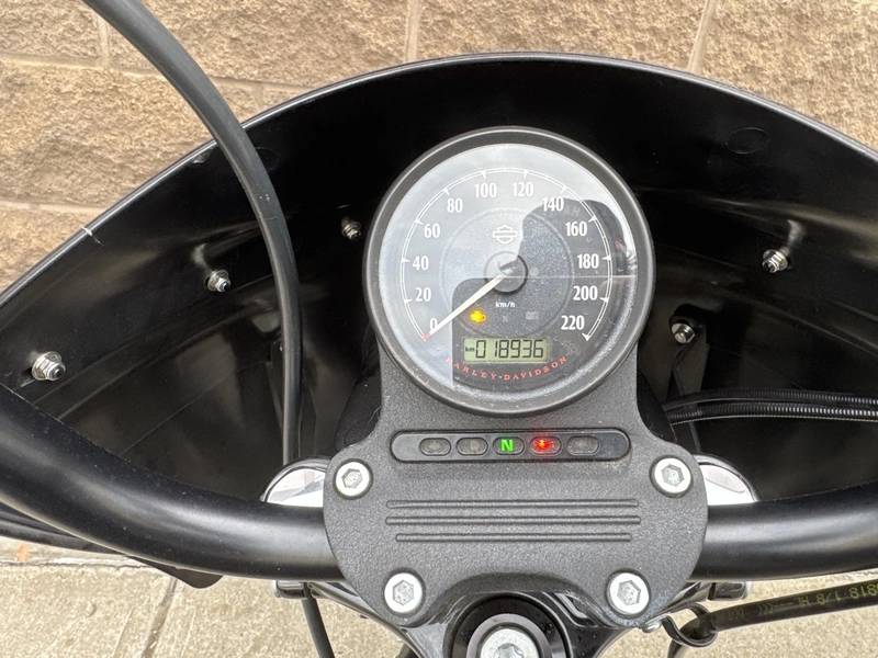 2019 Harley-Davidson, dovoz Kanada — foto 8 z 12
