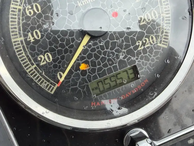 2011 Harley-Davidson Unspecified, 59 573 km, dovoz Kanada — foto 7 z 8