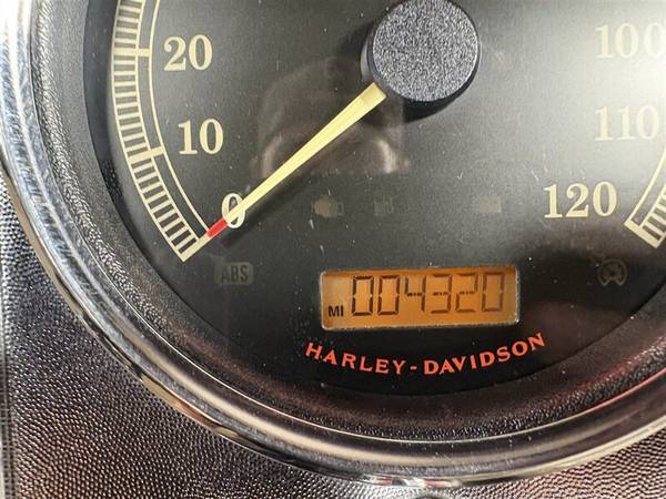 2015 Harley-Davidson, dovoz USA — foto 11 z 11