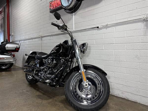 2015 Harley-Davidson, dovoz USA — foto 6 z 11