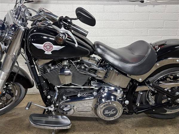 2015 Harley-Davidson, dovoz USA — foto 7 z 11