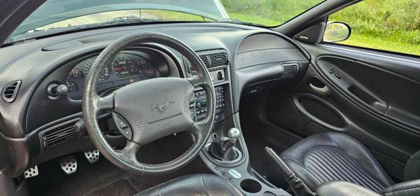 2001 Mustang Bullitt, dovoz USA — foto 12 z 12