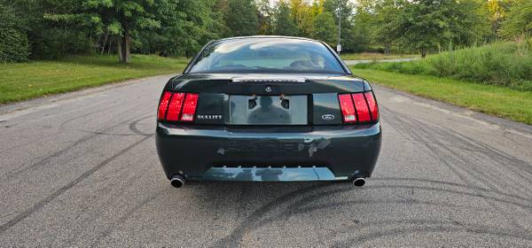 2001 Mustang Bullitt, dovoz USA — foto 4 z 12