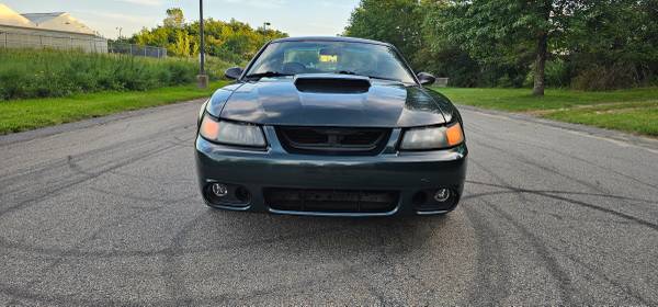2001 Mustang Bullitt, dovoz USA — foto 8 z 12