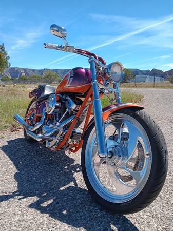 Air Design Custom Softail, dovoz USA — foto 9 z 11