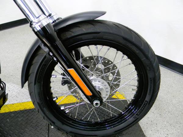 2016 Harley-Davidson, dovoz USA — foto 9 z 12