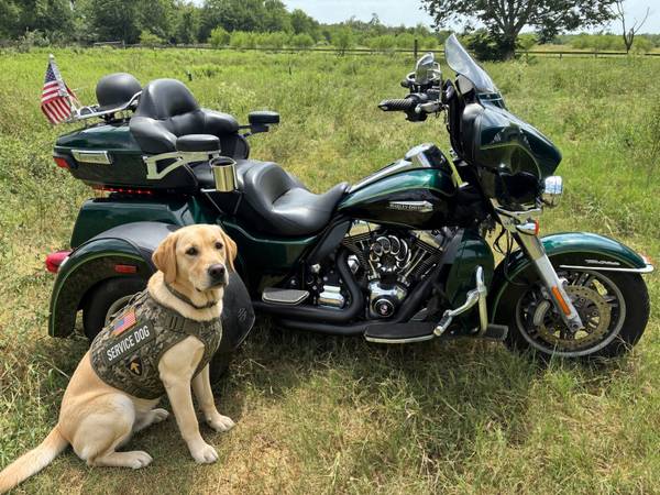 2016 Harley-Davidson, zelená, dovoz USA — foto 2 z 10
