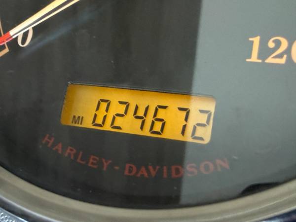 2007 Harley-Davidson, dovoz USA — foto 11 z 12