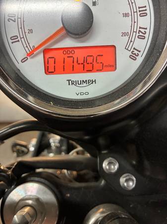 2015 Triumph, dovoz USA — foto 6 z 12