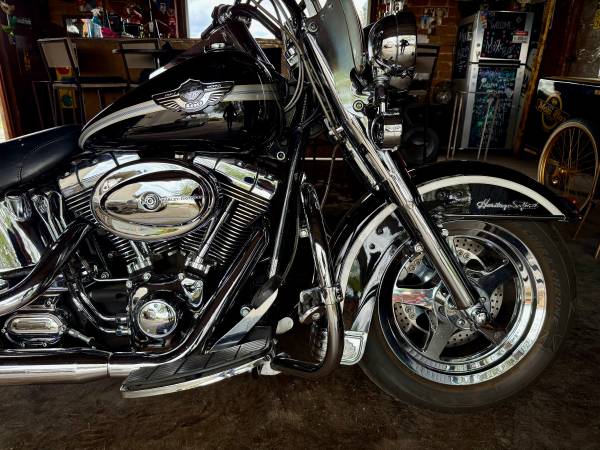 Harley-Davidson, dovoz USA — foto 3 z 12