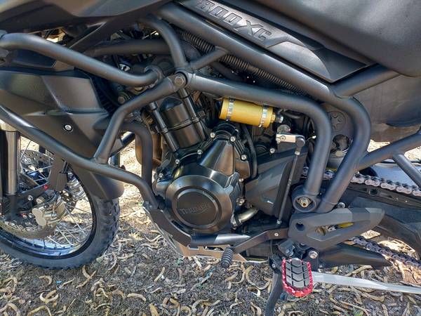 Triumph, dovoz USA — foto 10 z 12