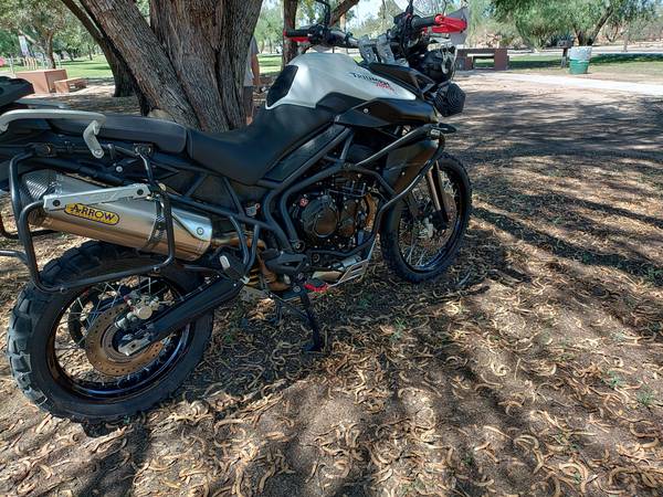 Triumph, dovoz USA — foto 3 z 12
