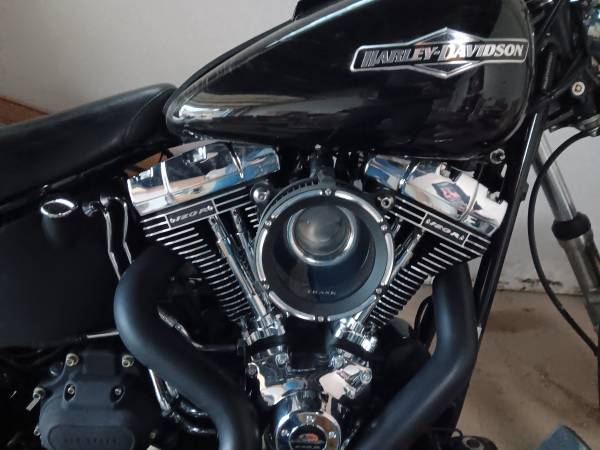 2007 Harley-Davidson, dovoz USA — foto 5 z 6