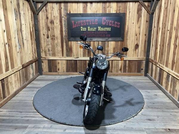 2015 Harley-Davidson, dovoz USA — foto 3 z 11