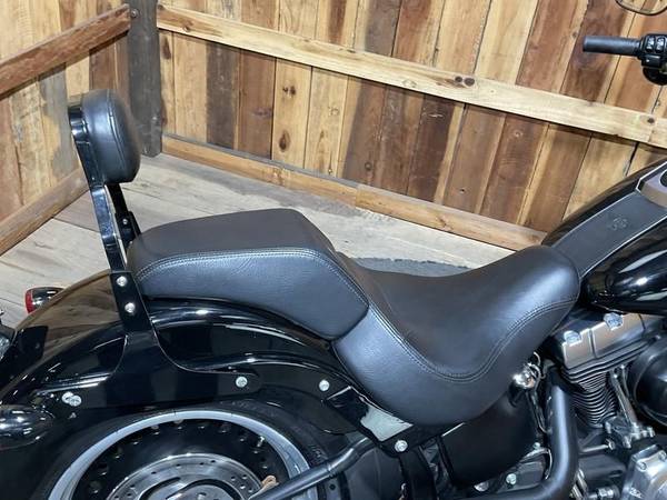 2015 Harley-Davidson, dovoz USA — foto 8 z 11