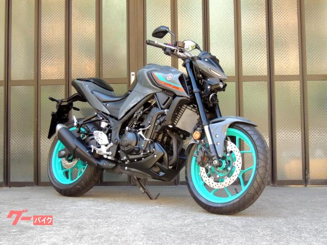 ヤマハ MT-25, 239 km, dovoz Japonsko — foto 1 ヤマハ MT-25, 239 km, dovoz Japonsko — foto 1