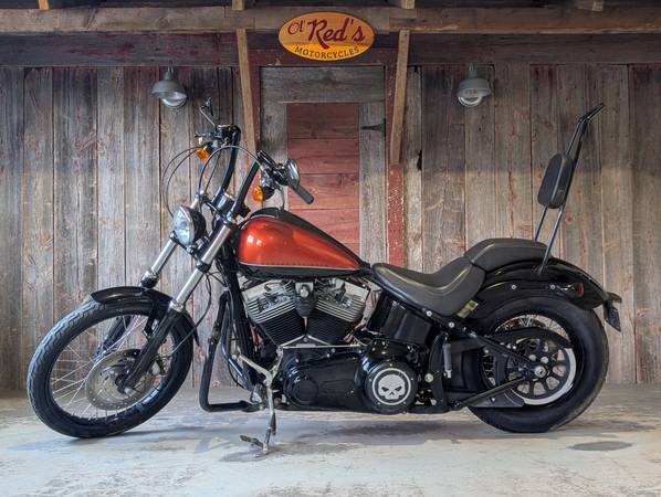 2011 Harley-Davidson, dovoz USA — foto 2 z 11