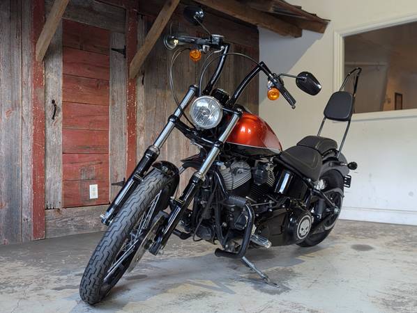 2011 Harley-Davidson, dovoz USA — foto 3 z 11