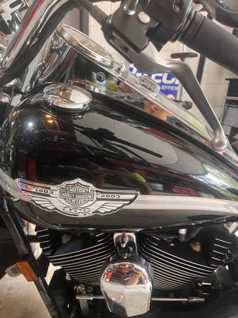 2003 Harley-Davidson, dovoz USA — foto 6 z 8