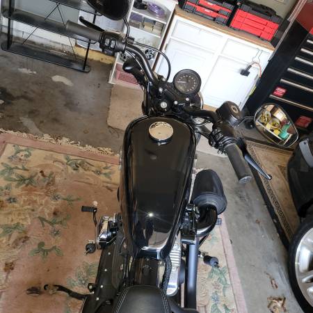 Harley-Davidson, dovoz USA — foto 3 z 12