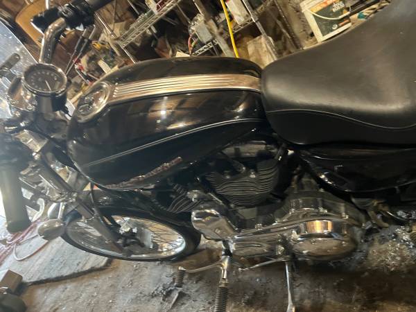Harley-Davidson, dovoz USA — foto 8 z 12