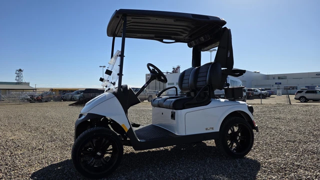 2025 E-Z-GO RXV FREEDOM ELITE LITHIUM, dovoz Kanada — foto 3 z 5