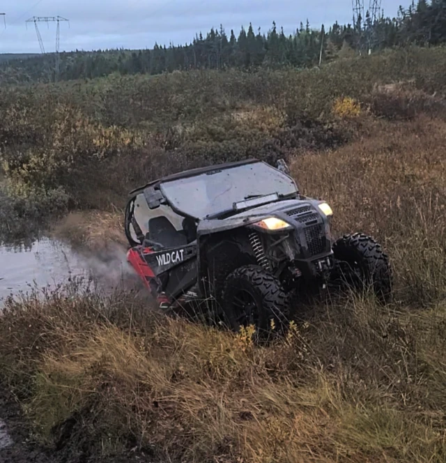 2017, dovoz Kanada — foto 2 z 5