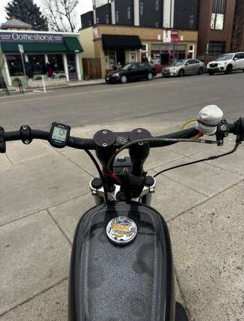 1999 Harley-Davidson, dovoz USA — foto 2 z 8