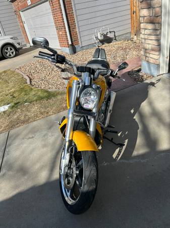 Harley-Davidson, žlutá, dovoz USA — foto 5 z 6