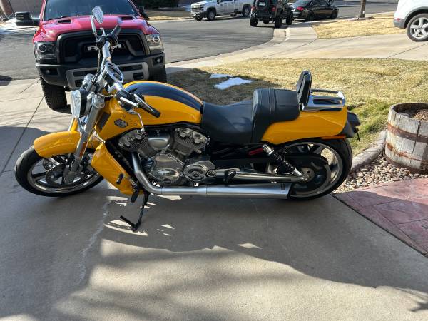 Harley-Davidson, žlutá, dovoz USA — foto 6 z 6