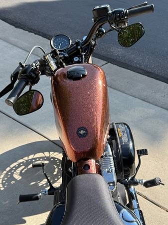 2014 Harley-Davidson, dovoz USA — foto 5 z 7