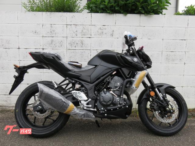 ヤマハ MT-25, dovoz Japonsko — foto 1 ヤマハ MT-25, dovoz Japonsko — foto 1