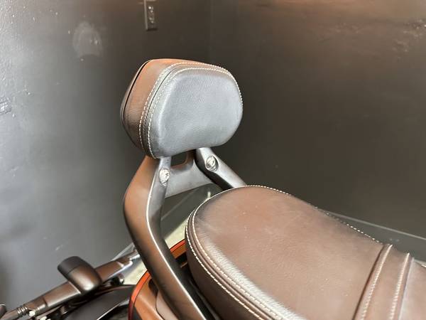 2025 Triumph, černá, dovoz USA — foto 8 z 12
