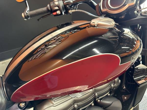 2025 Triumph, černá, dovoz USA — foto 9 z 12
