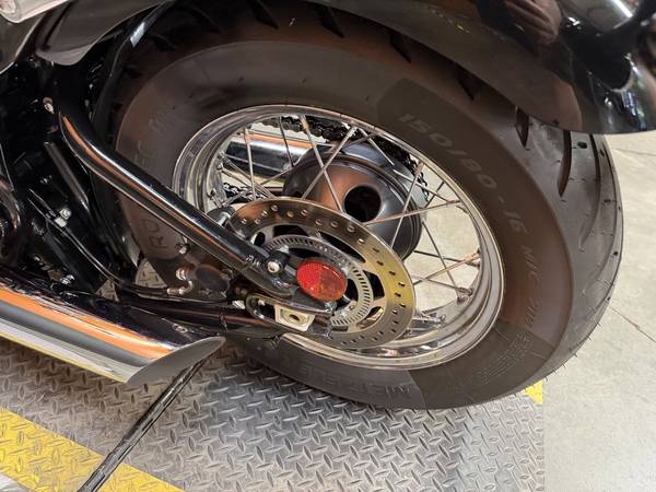 2025 Triumph, dovoz USA — foto 10 z 12