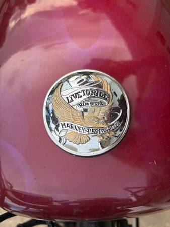 Harley-Davidson, dovoz USA — foto 8 z 8