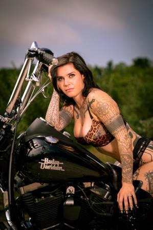 2016 Harley-Davidson, dovoz USA — foto 5 z 12