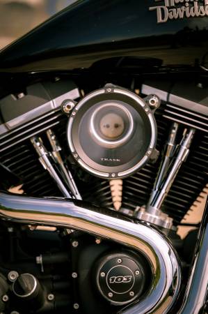 2016 Harley-Davidson, dovoz USA — foto 8 z 12