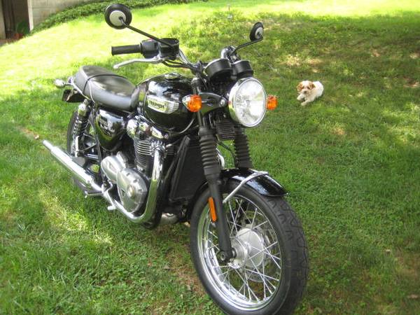 2018 Triumph, dovoz USA — foto 4 z 12