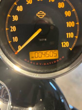 2017 Harley-Davidson, dovoz USA — foto 6 z 6