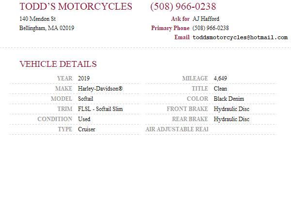 2019 Harley-Davidson, černá, dovoz USA — foto 11 z 11