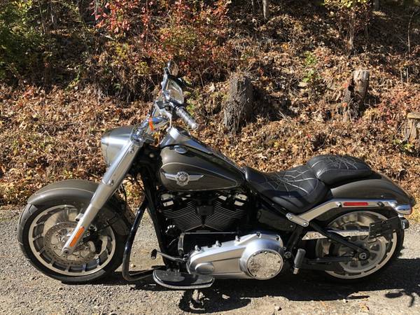 2018 Harley-Davidson, šedá, dovoz USA — foto 8 z 11