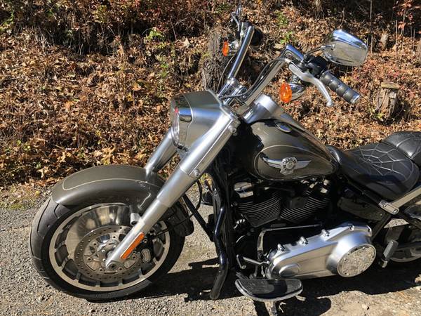 2018 Harley-Davidson, šedá, dovoz USA — foto 9 z 11