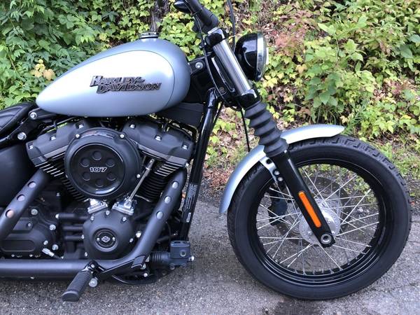 2020 Harley-Davidson, stříbrná, dovoz USA — foto 2 z 11