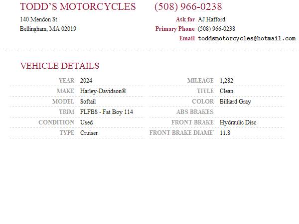 2024 Harley-Davidson, šedá, dovoz USA — foto 11 z 11