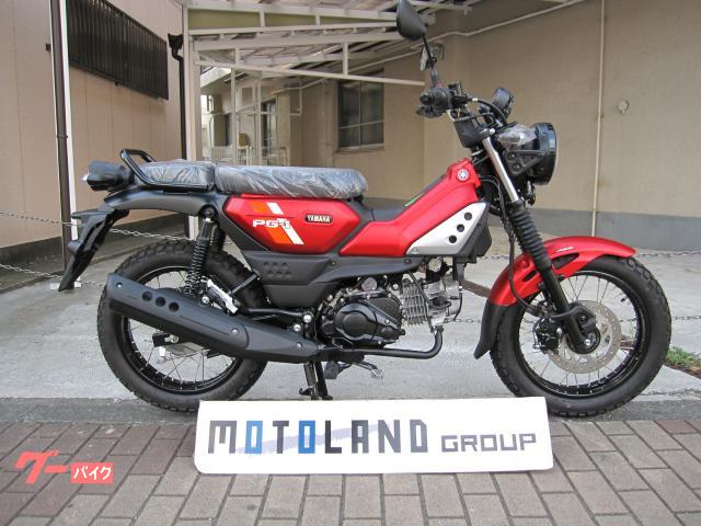 ヤマハ PG-1, dovoz Japonsko — foto 1 ヤマハ PG-1, dovoz Japonsko — foto 1