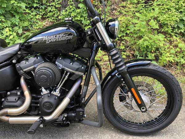 2019 Harley-Davidson, černá, dovoz USA — foto 2 z 11